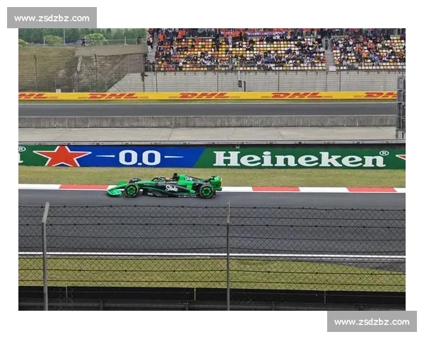 F1观赛入门:看懂比赛必须知道的10件事